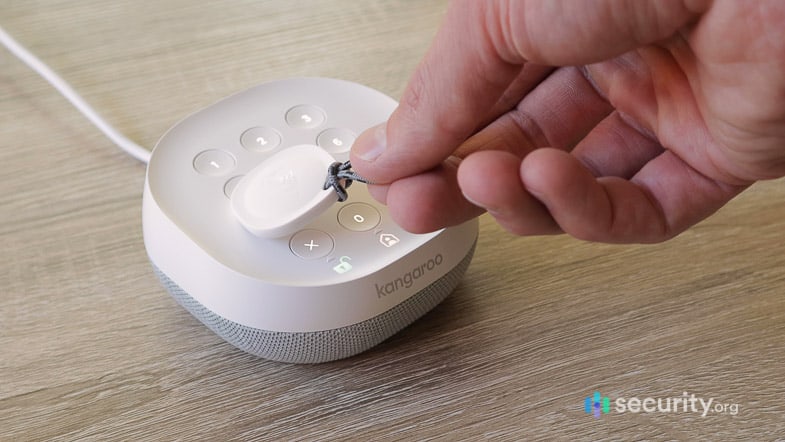 Kangaroo Tap Roo Tag Kangaroo Tap Roo Tag