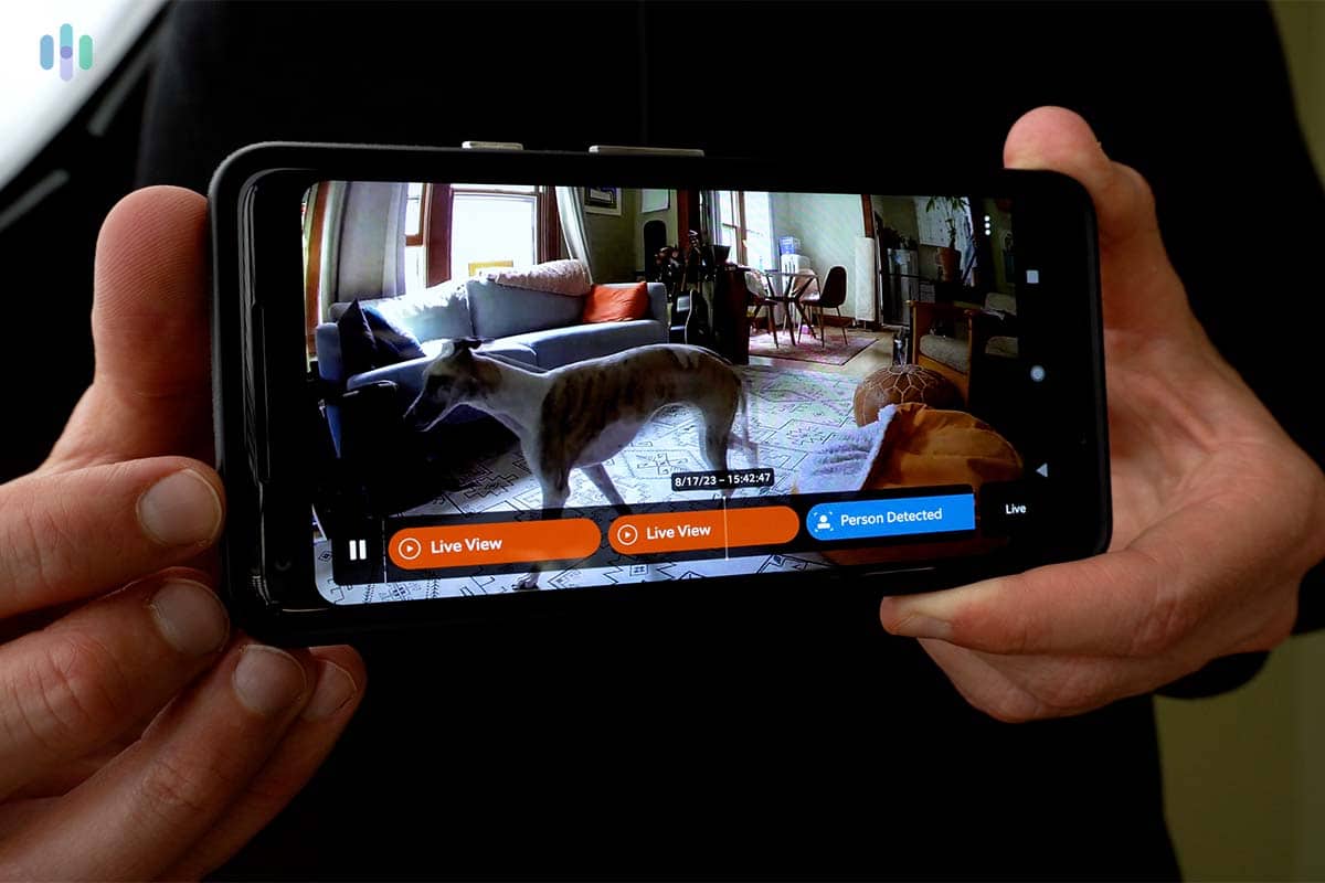 Ring Indoor Cam video on the Ring app Ring Indoor Cam video on the Ring app